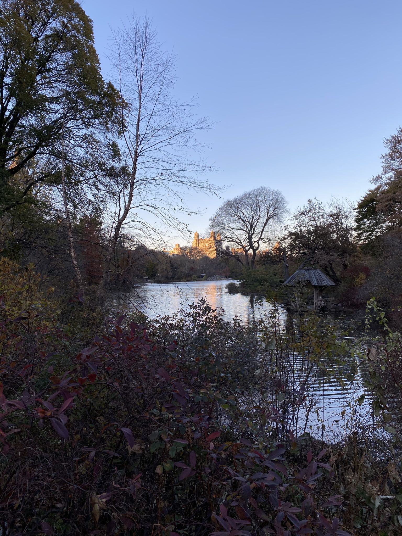 Photo 48 of 78 from the album Highlights Florida – New York 2019.