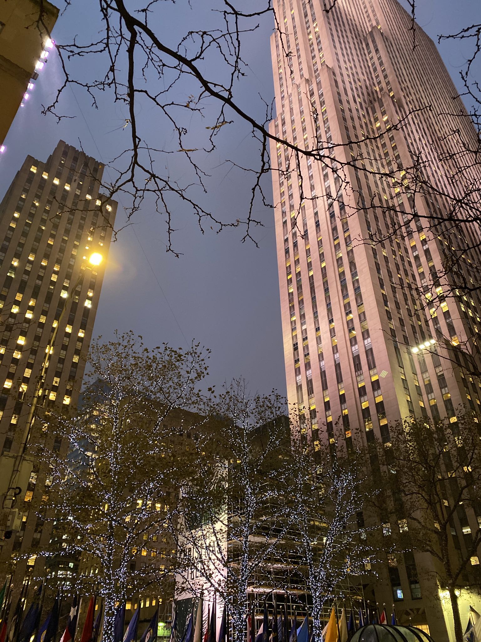 Photo 59 of 78 from the album Highlights Florida – New York 2019.