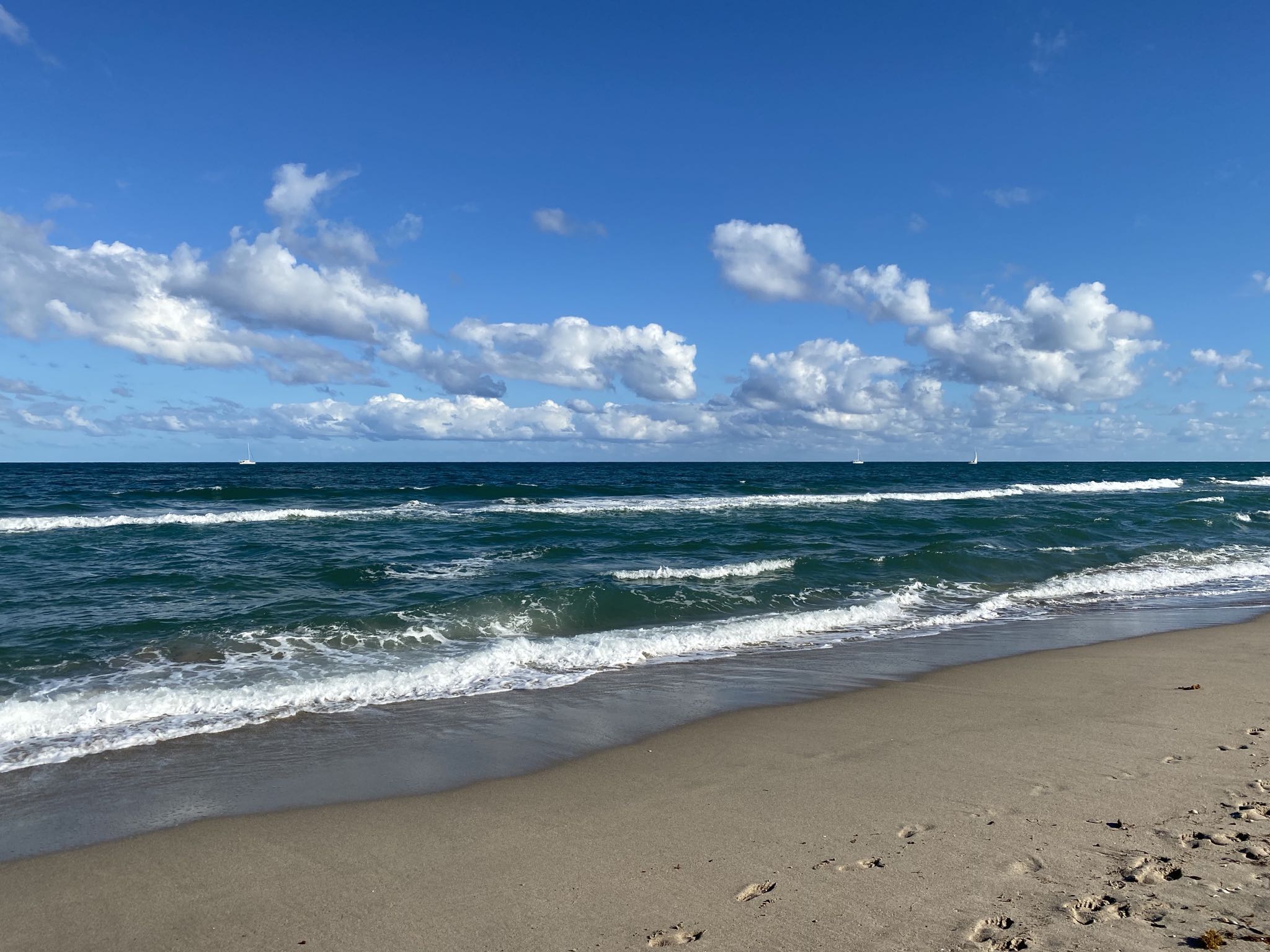 Photo 6 of 78 from the album Highlights Florida – New York 2019.