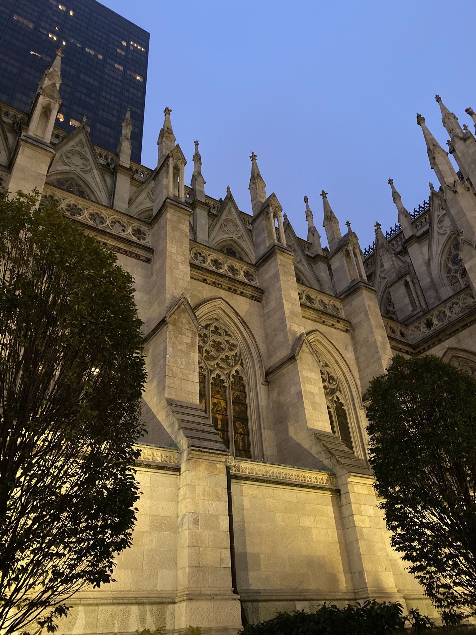 Photo 60 of 78 from the album Highlights Florida – New York 2019.