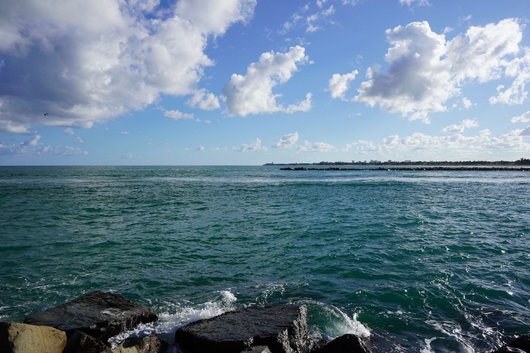 Photo 7 of 78 from the album Highlights Florida – New York 2019.