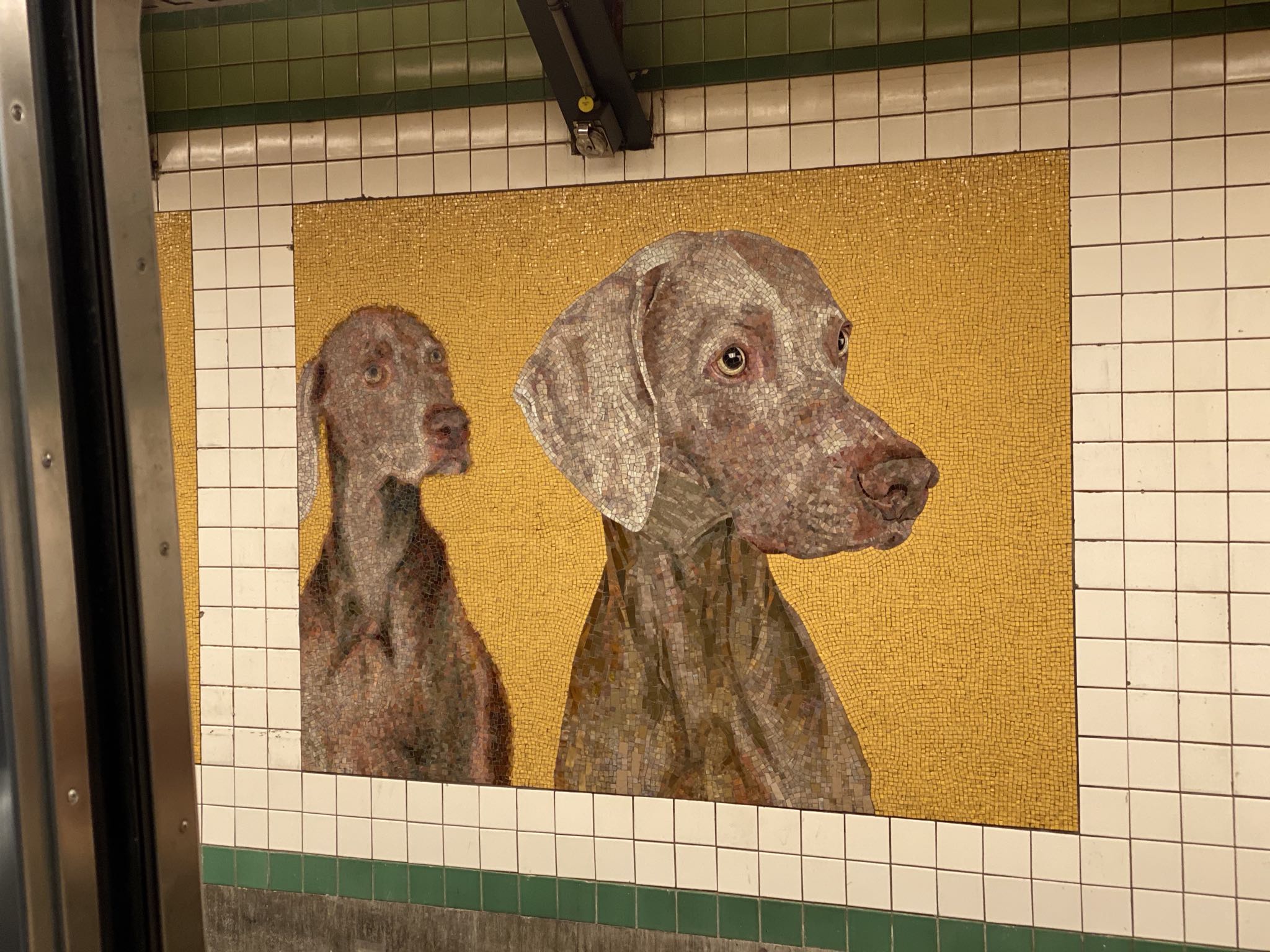 Photo 71 of 78 from the album Highlights Florida – New York 2019.