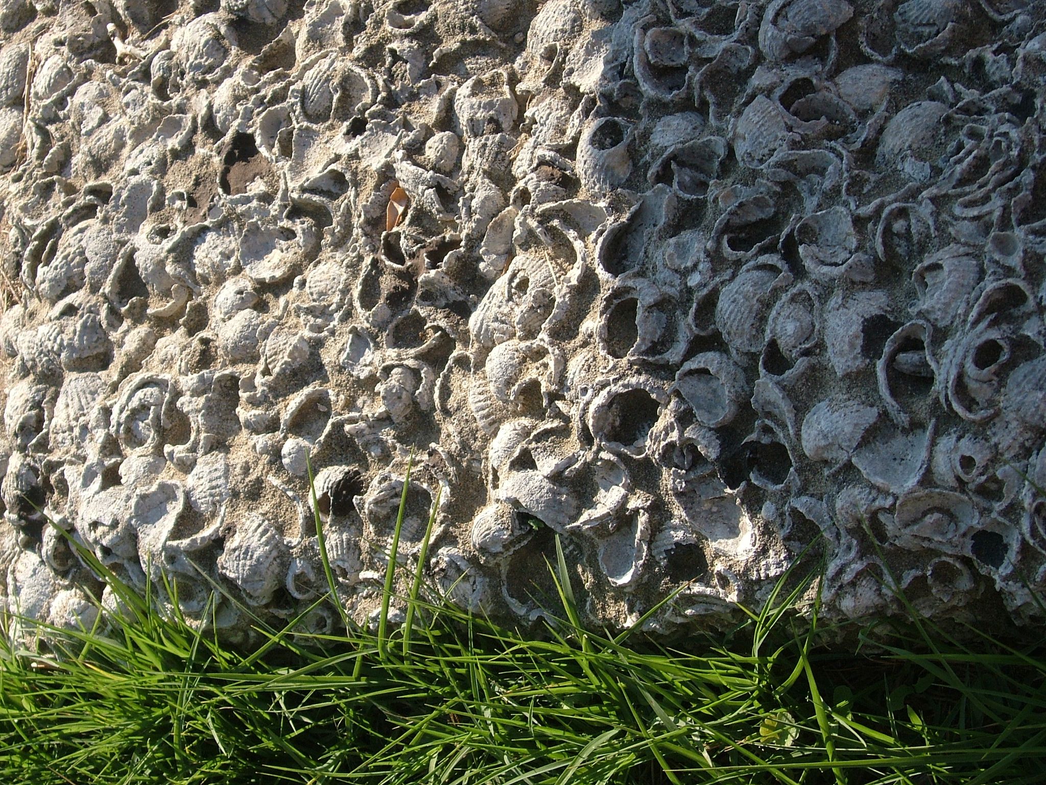 Photo 31 of 74 from the album Highlights Greece 2004.