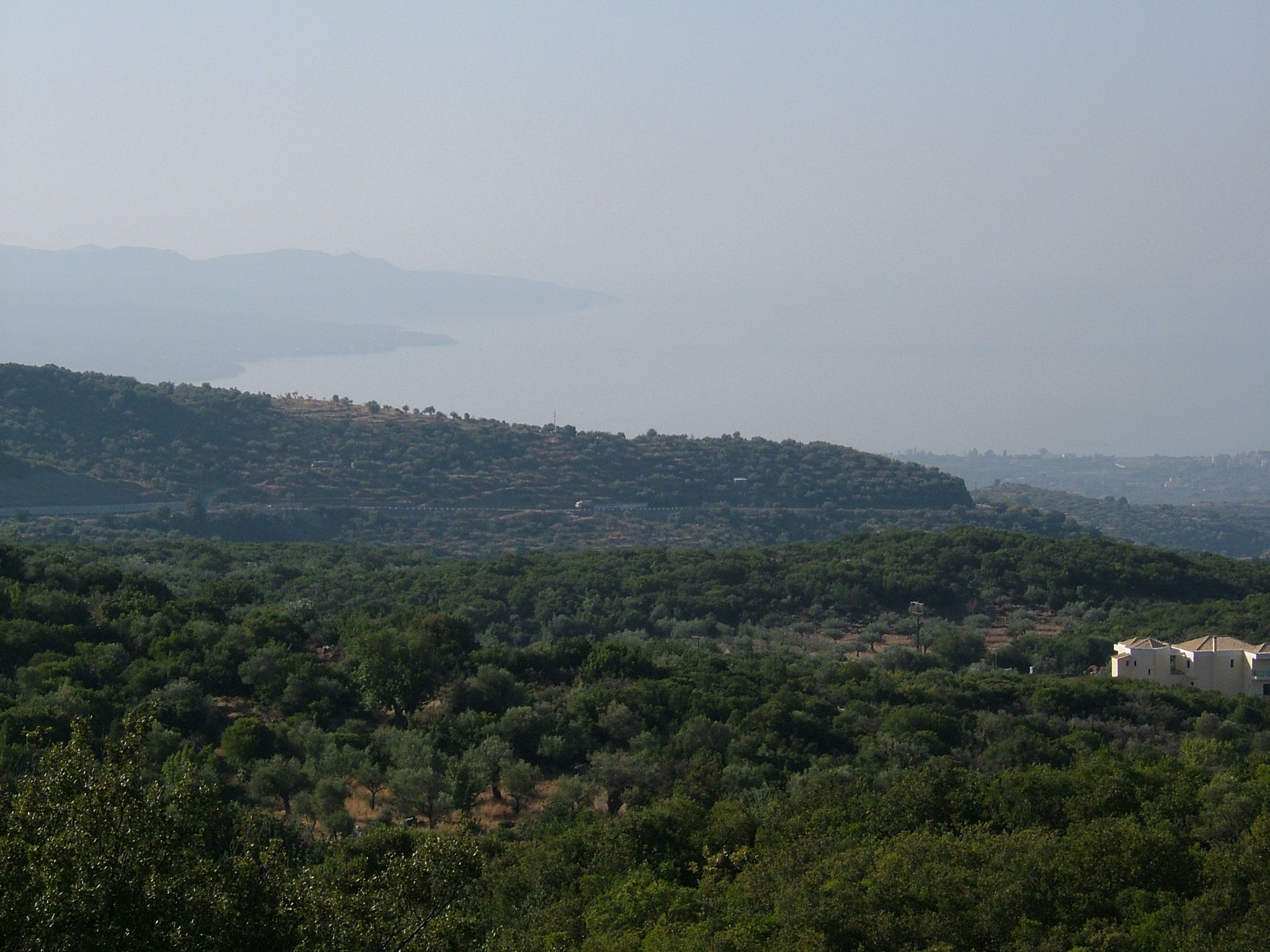 Photo 45 of 74 from the album Highlights Greece 2004.