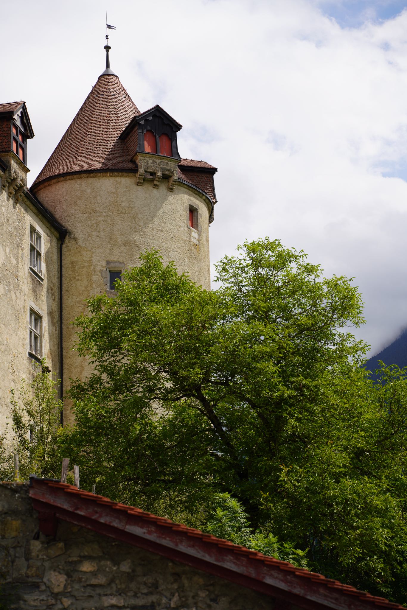 Photo 12 of 34 from the album Gruyères 2021.