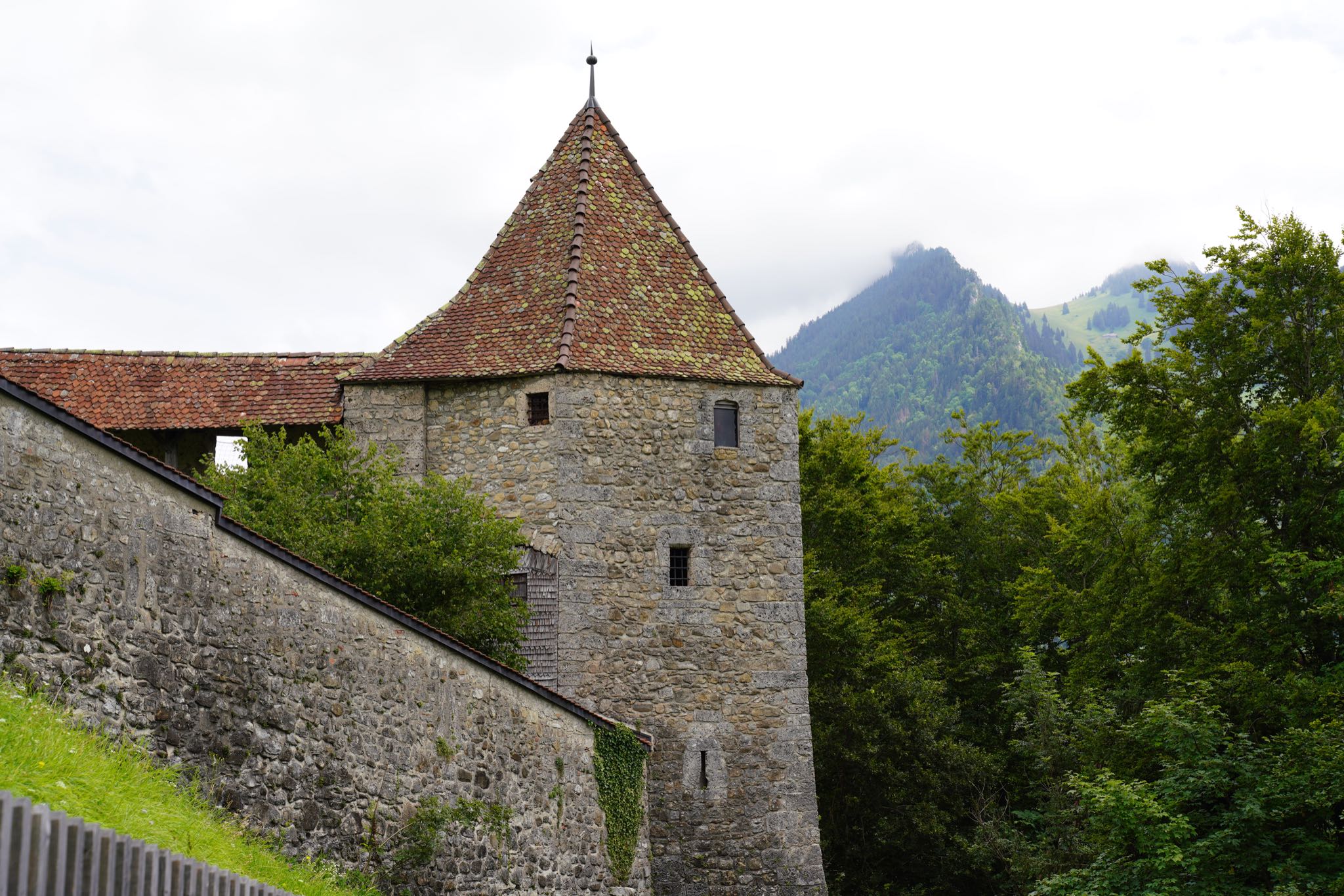 Photo 14 of 34 from the album Gruyères 2021.