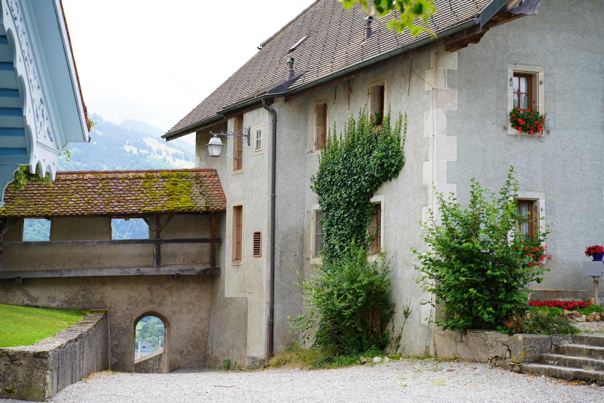 Photo 18 of 34 from the album Gruyères 2021.