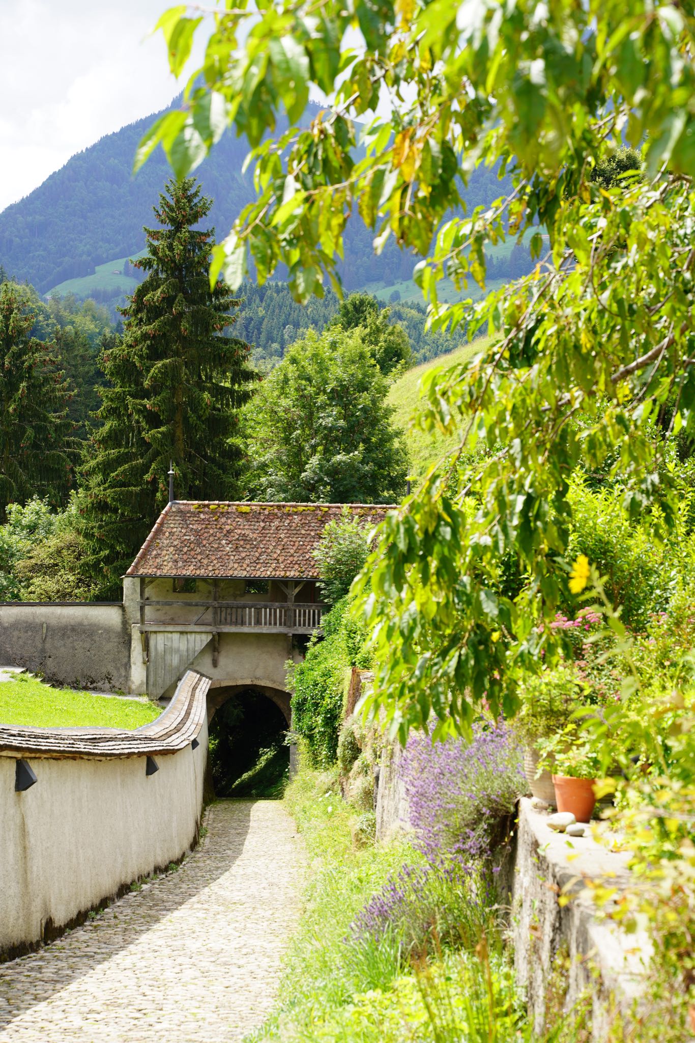 Photo 22 of 34 from the album Gruyères 2021.
