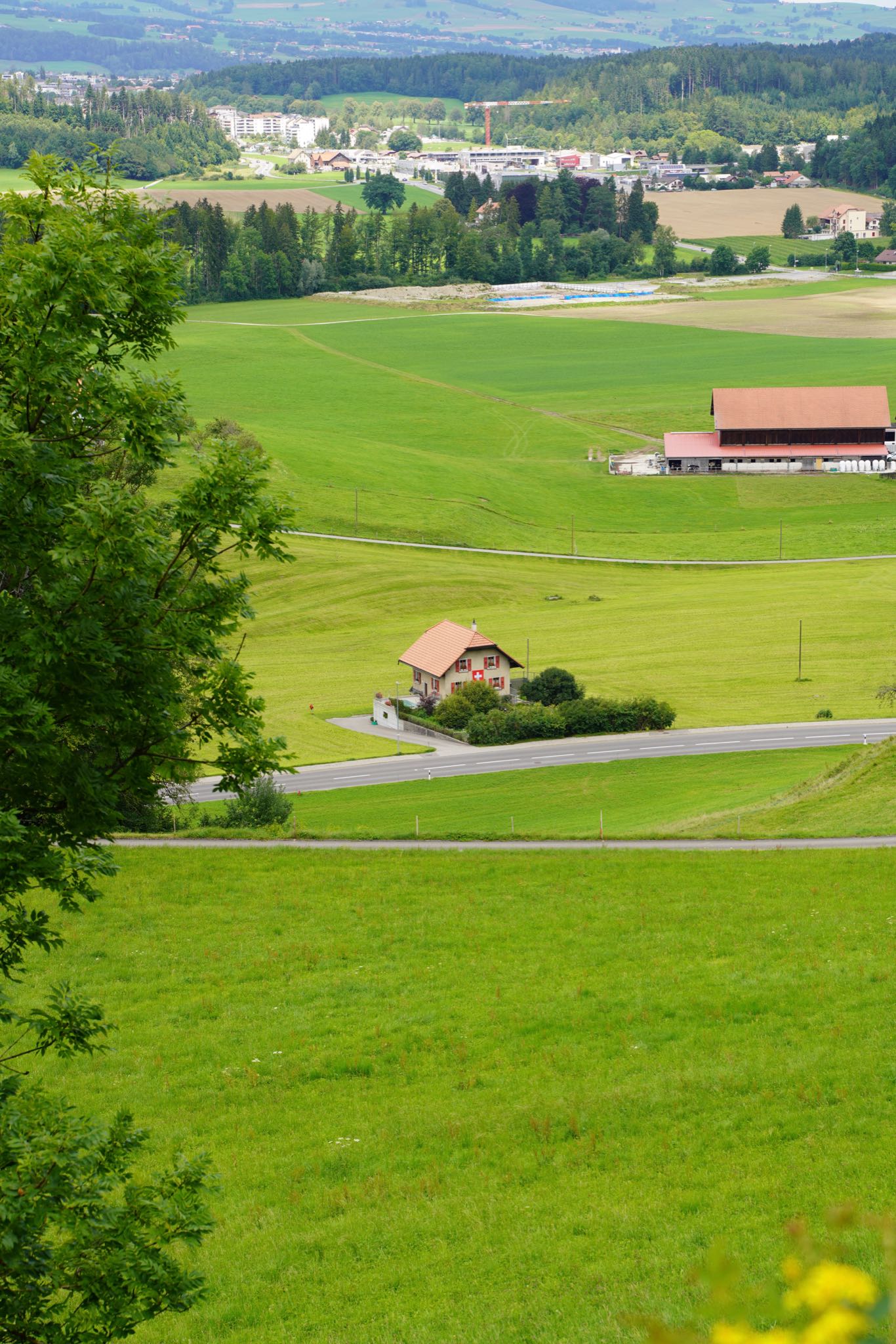 Photo 28 of 34 from the album Gruyères 2021.