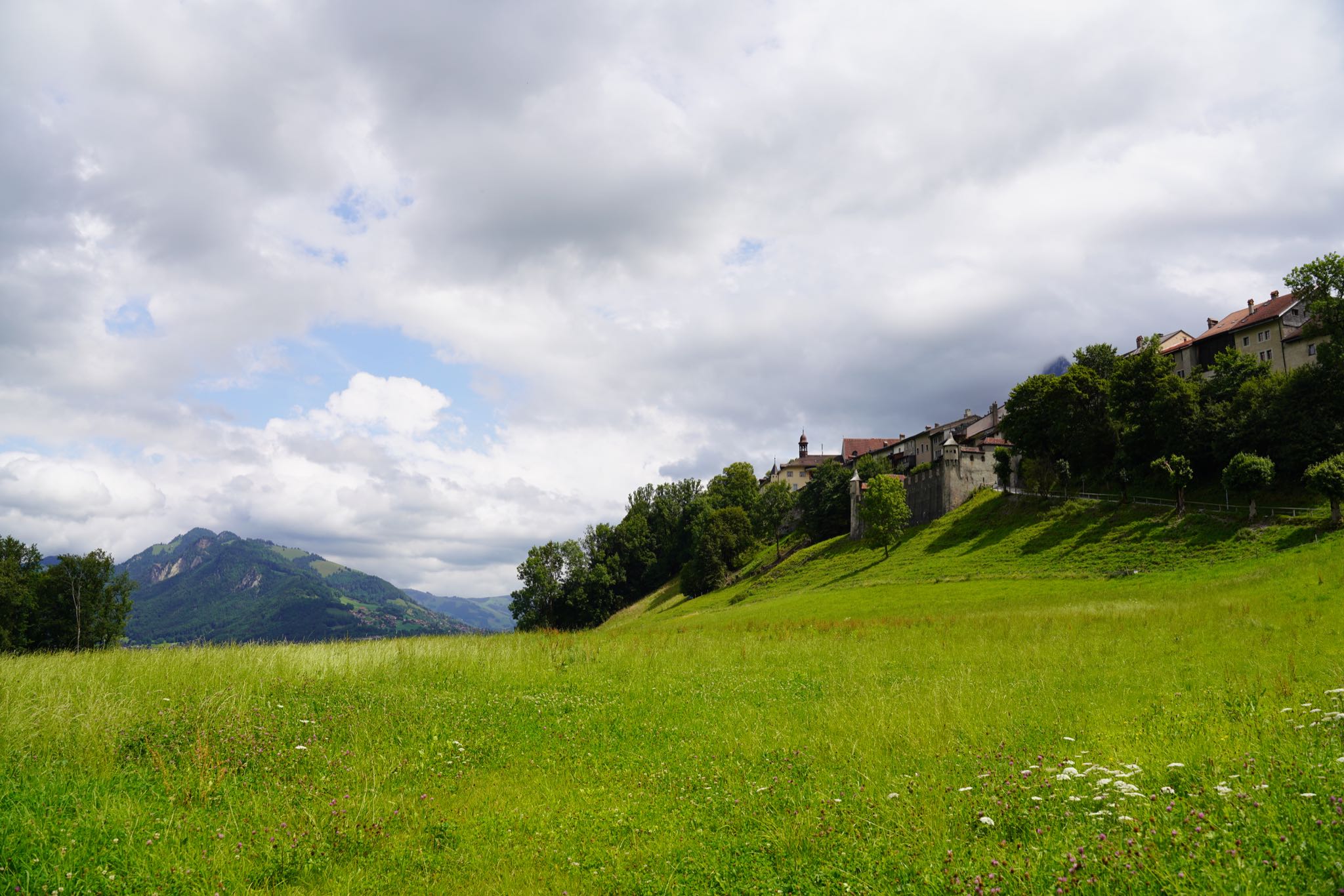 Photo 30 of 34 from the album Gruyères 2021.