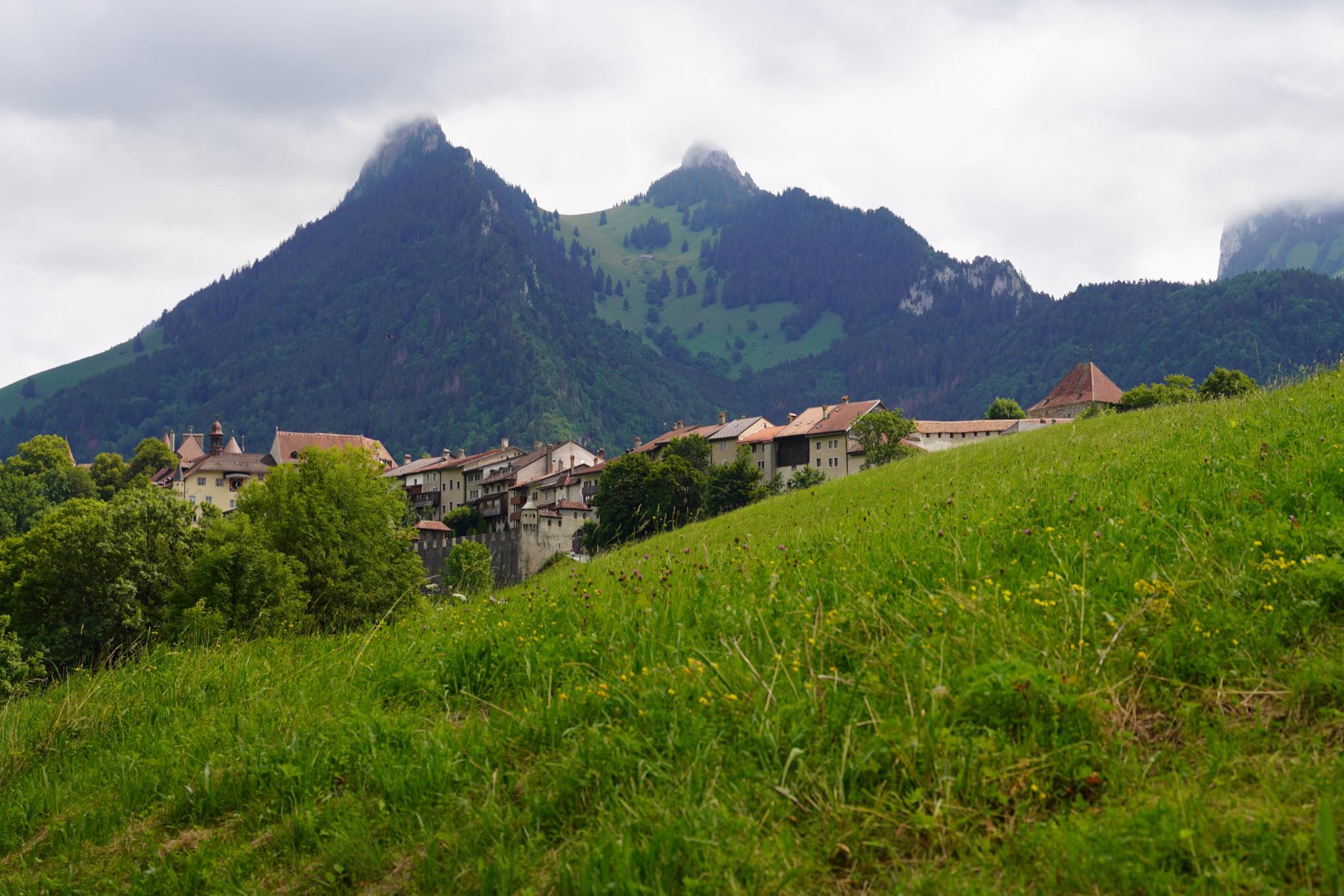 Photo 32 of 34 from the album Gruyères 2021.