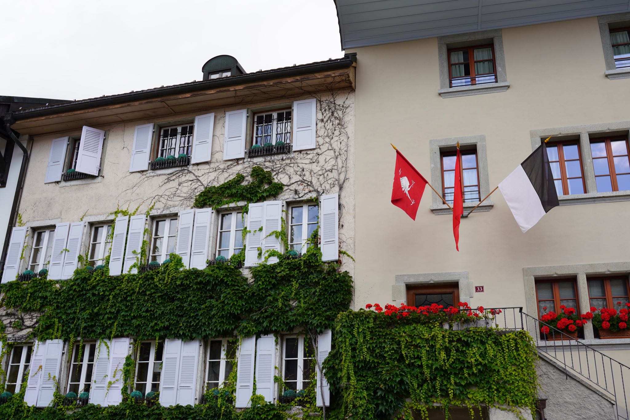 Photo 5 of 34 from the album Gruyères 2021.