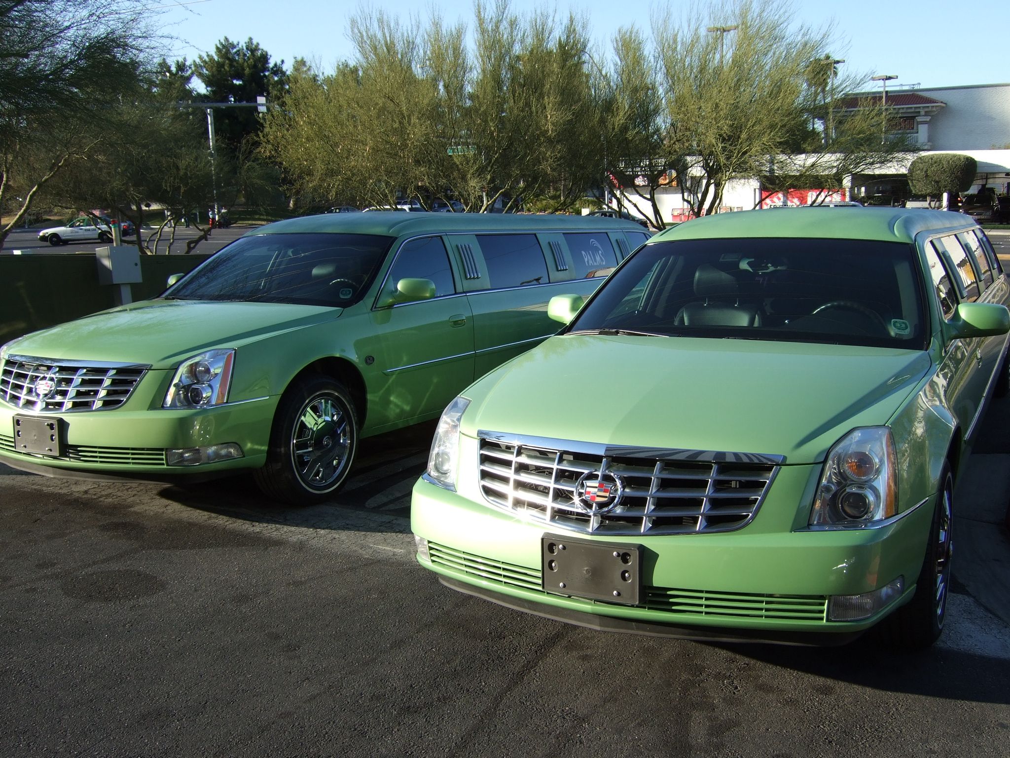 Photo 24 of 61 from the album Highlights Las Vegas 2010.