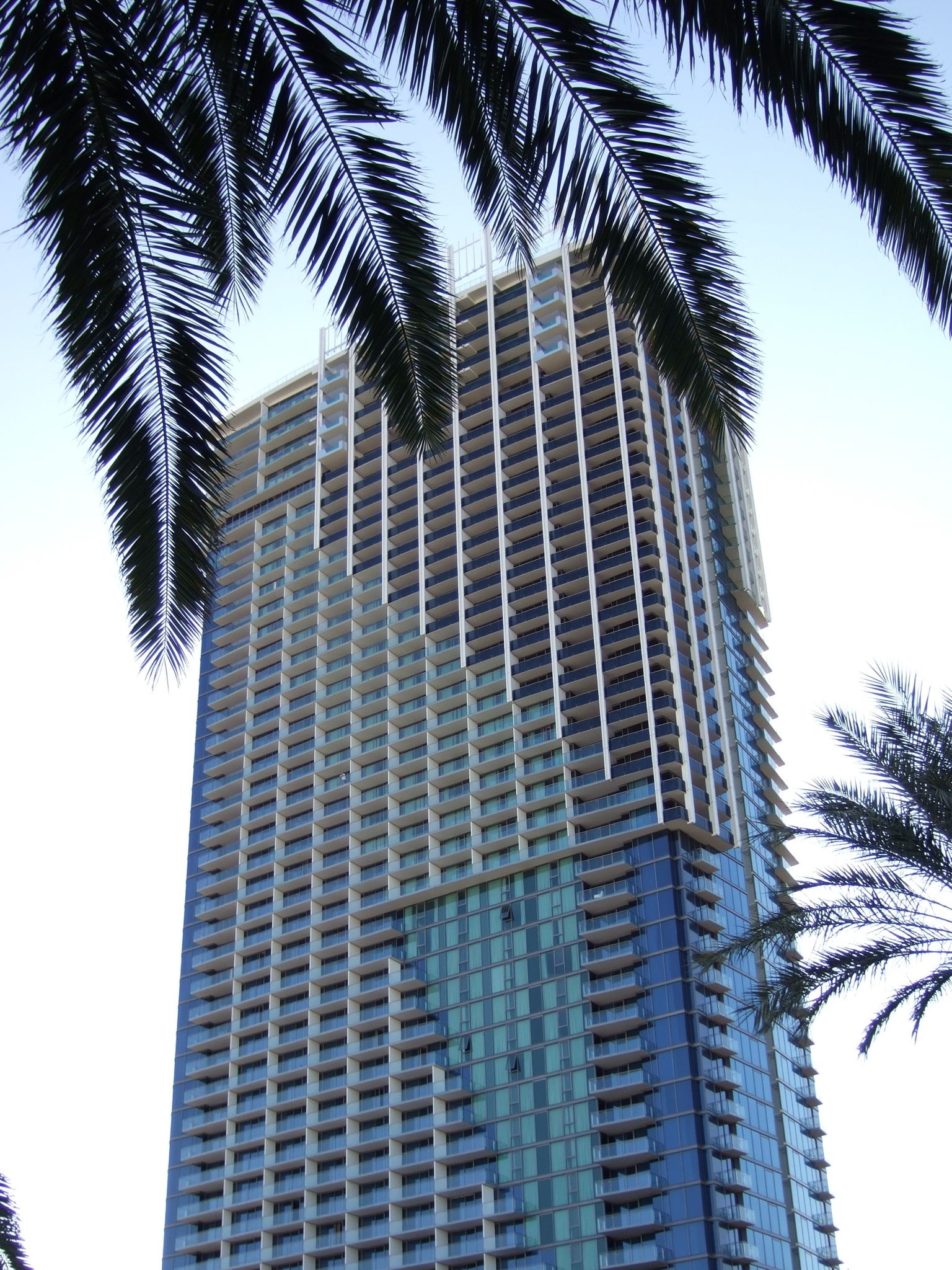 Photo 27 of 61 from the album Highlights Las Vegas 2010.