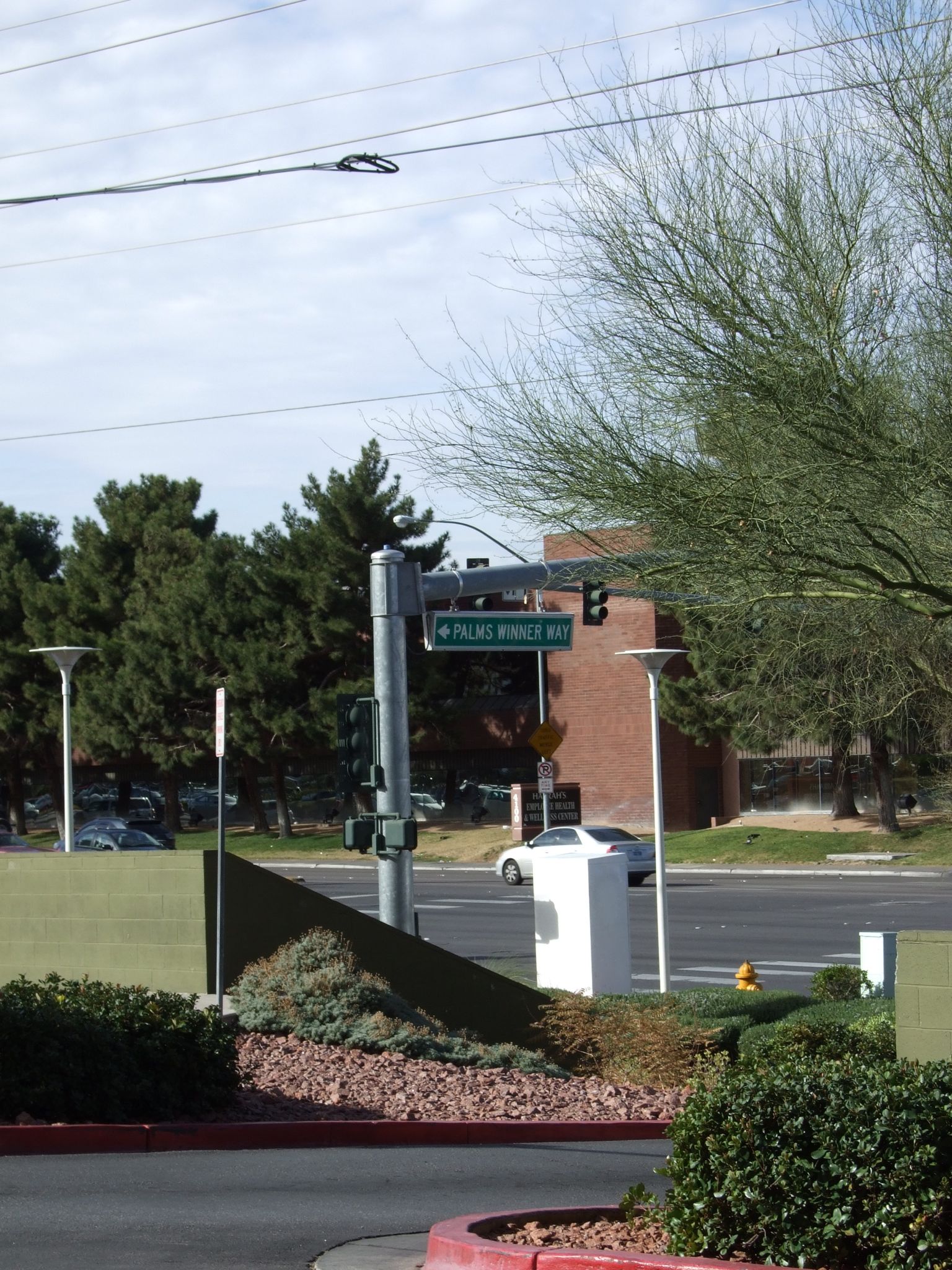 Photo 6 of 61 from the album Highlights Las Vegas 2010.