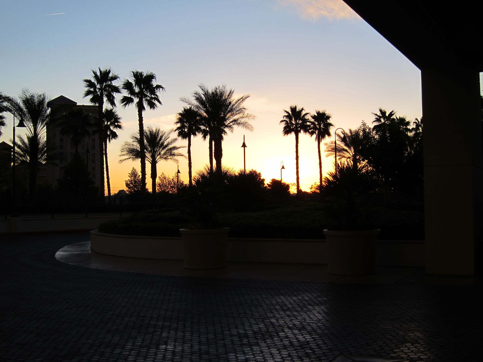 Photo 41 of 44 from the album Highlights Las Vegas 2011.