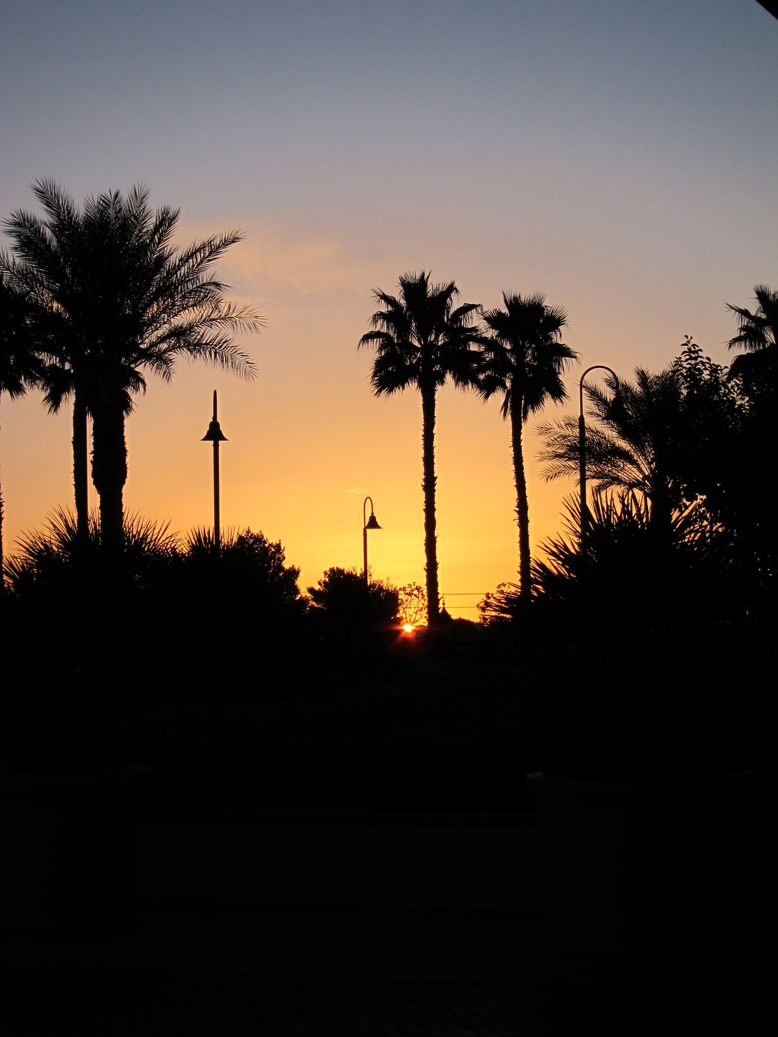 Photo 42 of 44 from the album Highlights Las Vegas 2011.