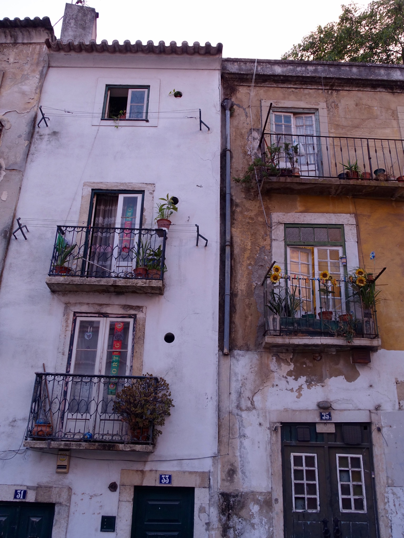 Photo 14 of 86 from the album Highlights Lisbon 2015.