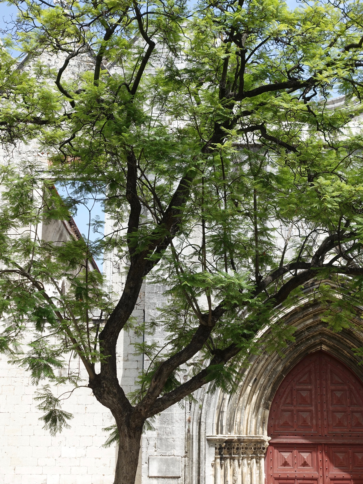 Photo 58 of 86 from the album Highlights Lisbon 2015.