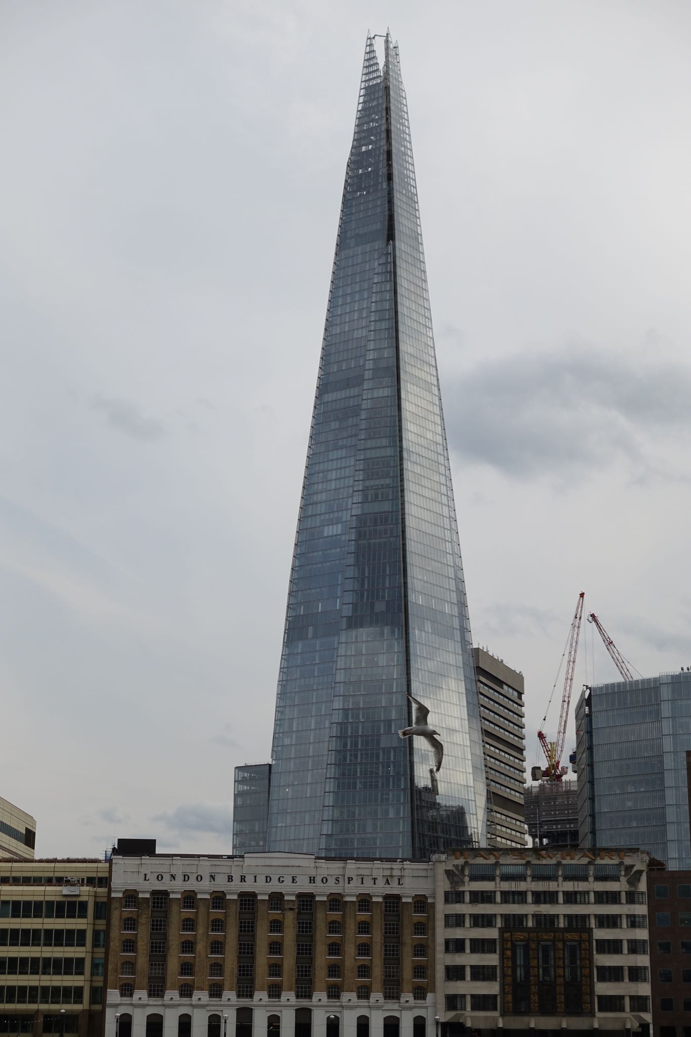 Photo 100 of 112 from the album Highlights London 2018.