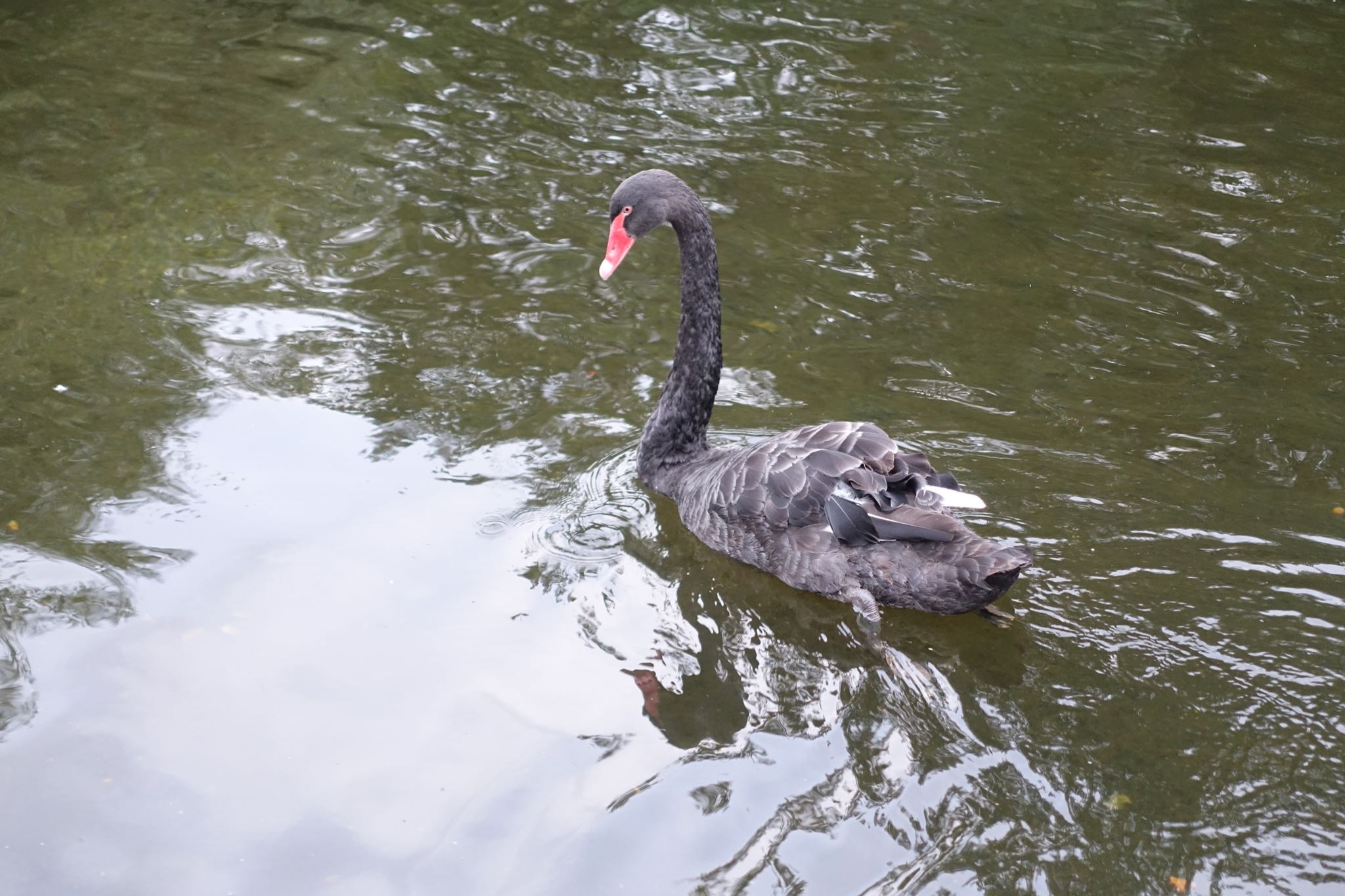 Photo 60 of 112 from the album Highlights London 2018.