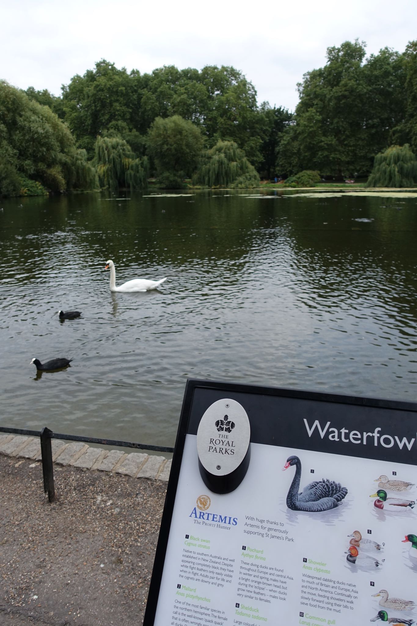 Photo 61 of 112 from the album Highlights London 2018.