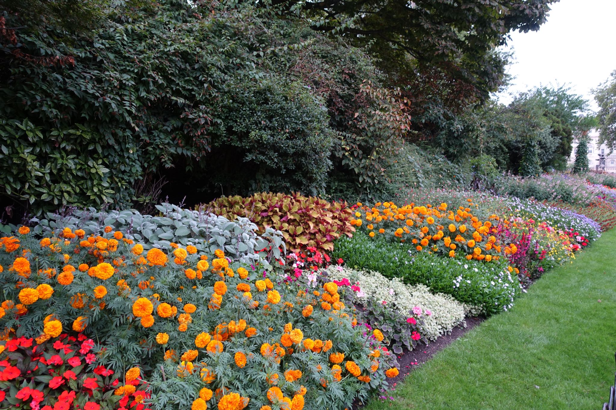 Photo 62 of 112 from the album Highlights London 2018.