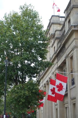 Thumbnail 41 of 112.