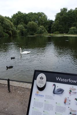 Thumbnail 61 of 112.