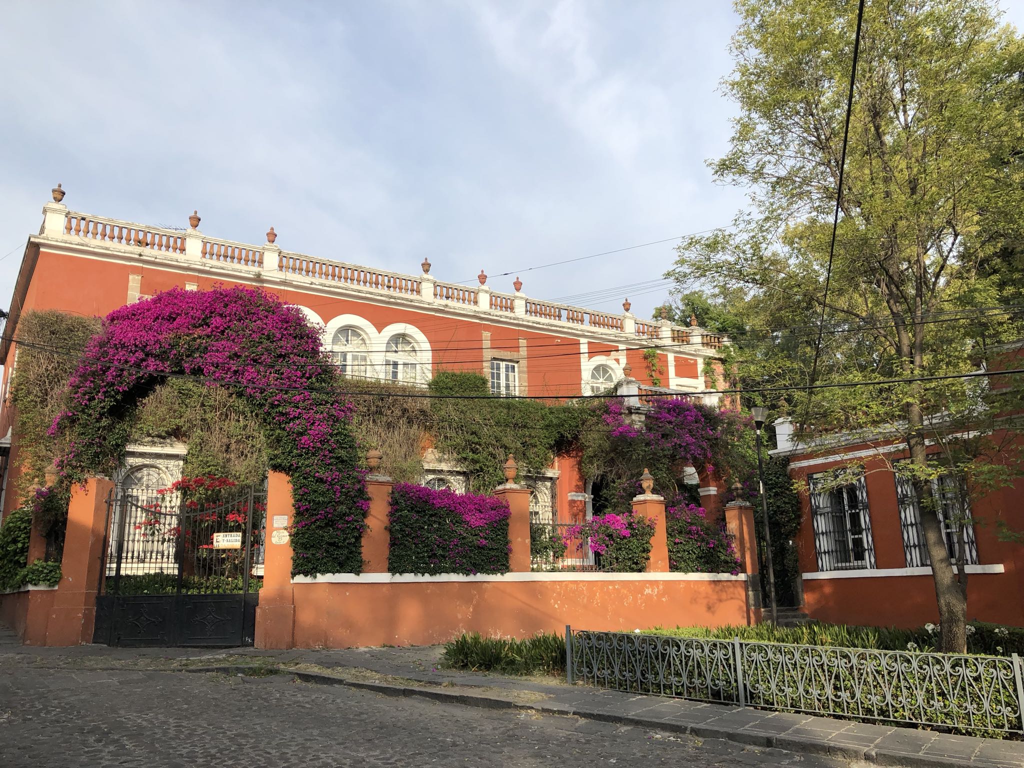 Photo 1 of 362 from the album Highlights Mexico 2019.