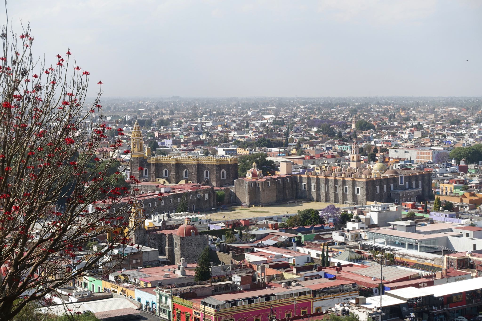 Photo 105 of 362 from the album Highlights Mexico 2019.