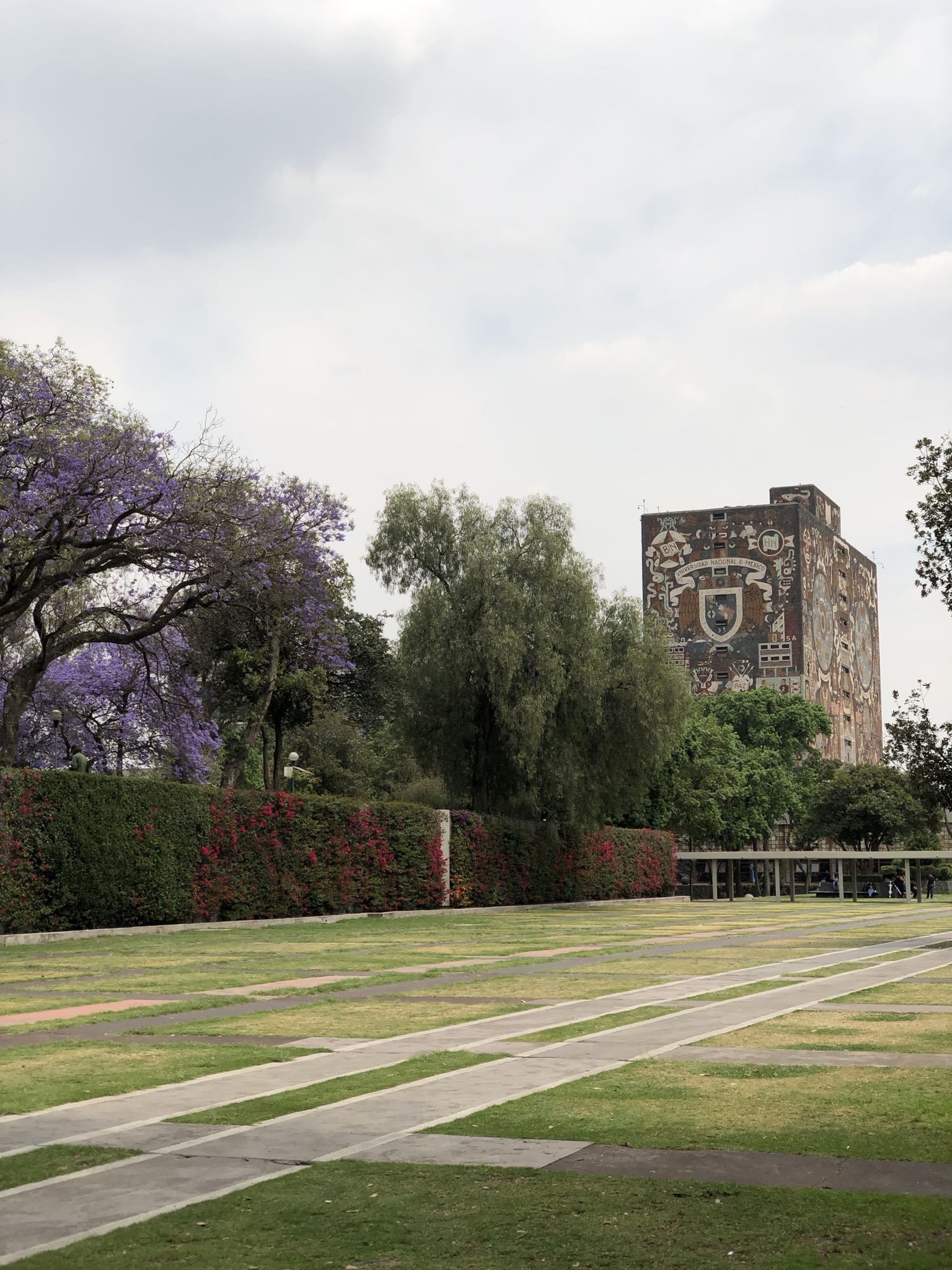 Photo 11 of 362 from the album Highlights Mexico 2019.