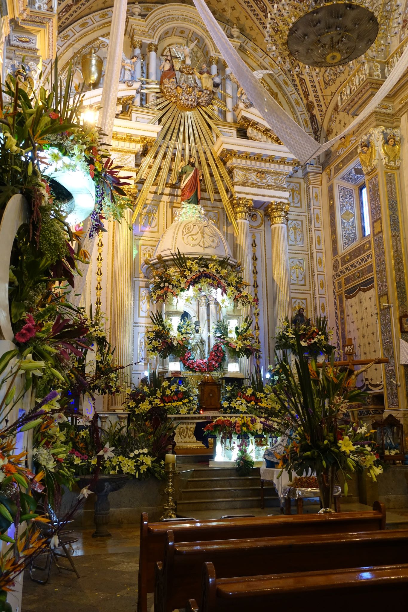 Photo 113 of 362 from the album Highlights Mexico 2019.