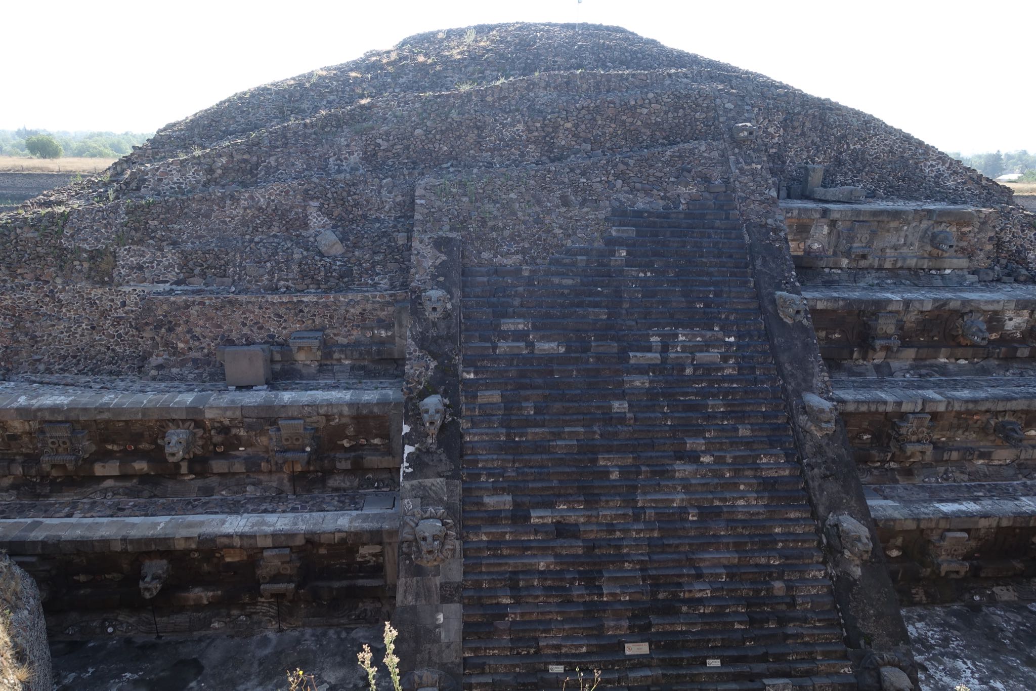 Photo 124 of 362 from the album Highlights Mexico 2019.