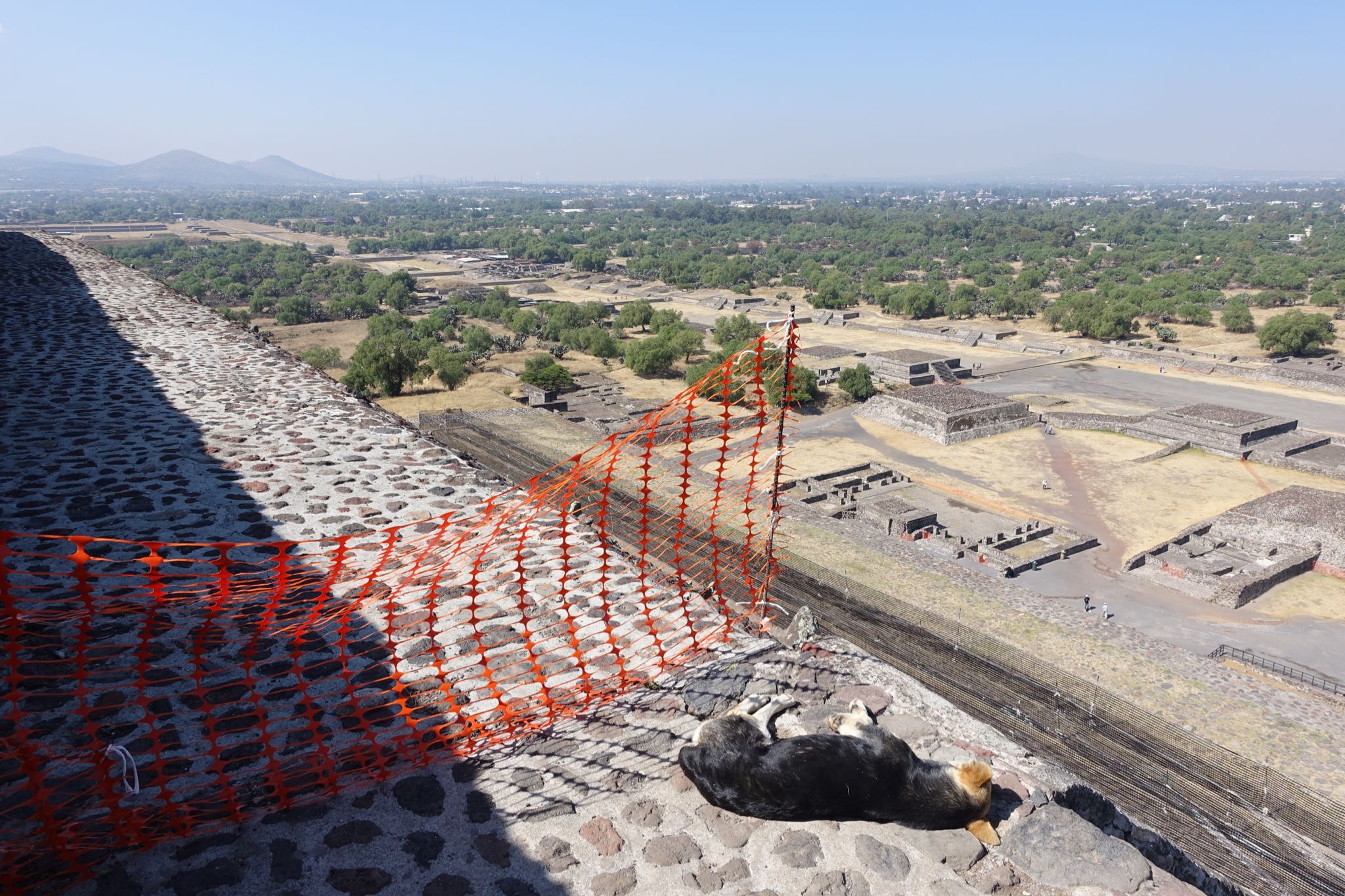 Photo 131 of 362 from the album Highlights Mexico 2019.