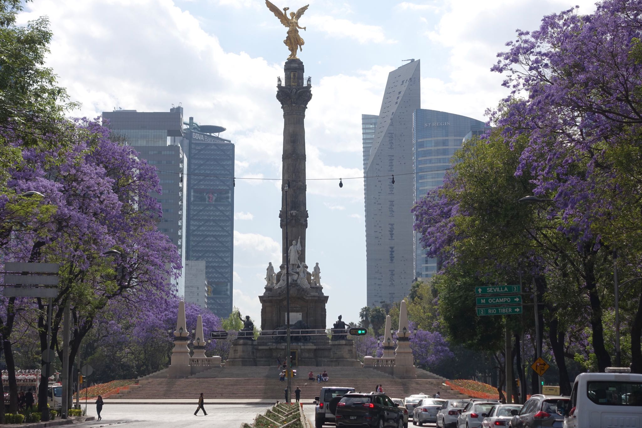 Photo 148 of 362 from the album Highlights Mexico 2019.