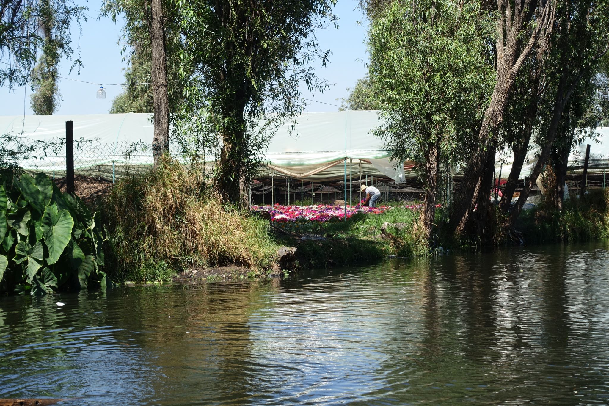 Photo 150 of 362 from the album Highlights Mexico 2019.