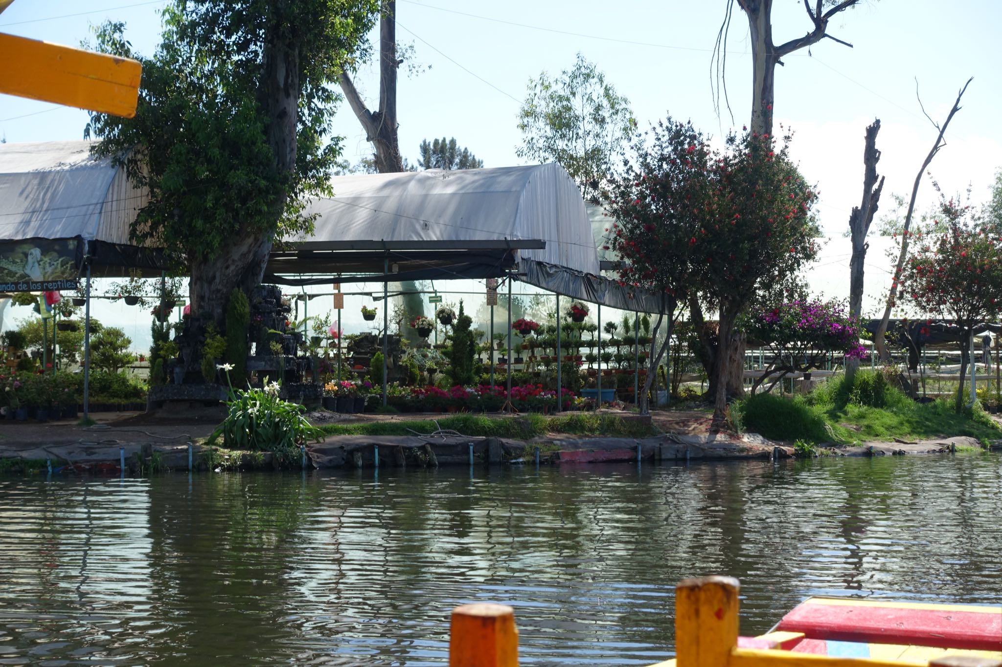 Photo 151 of 362 from the album Highlights Mexico 2019.