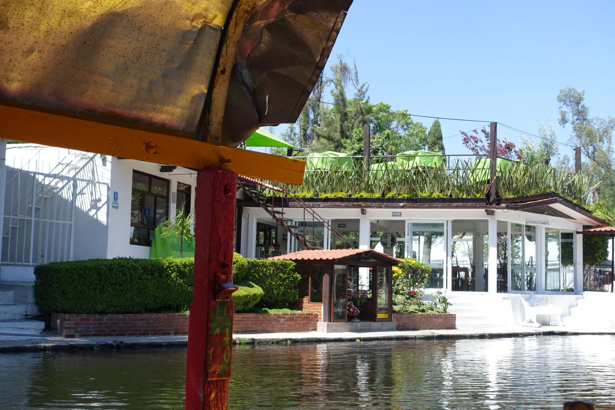 Photo 152 of 362 from the album Highlights Mexico 2019.