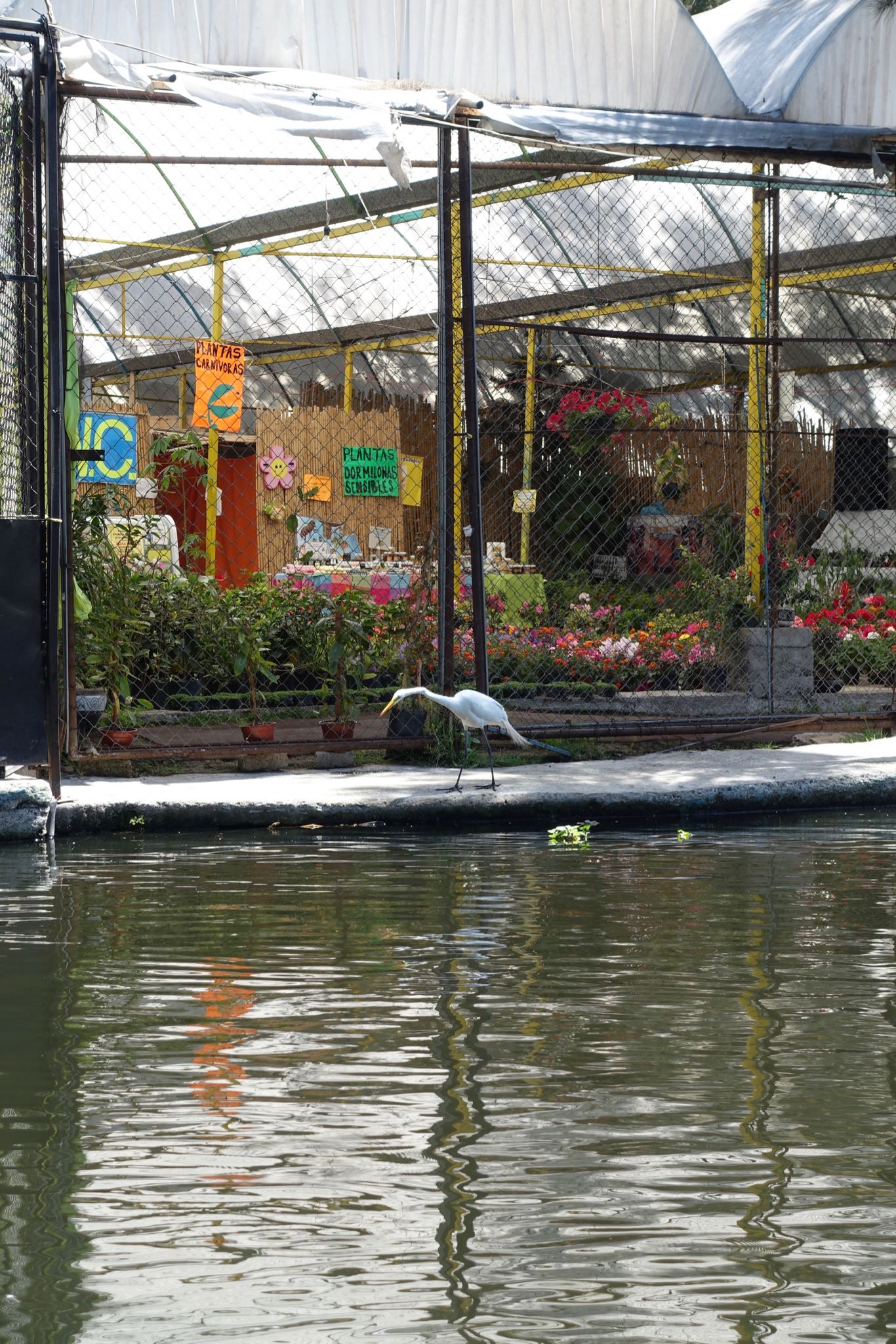 Photo 153 of 362 from the album Highlights Mexico 2019.