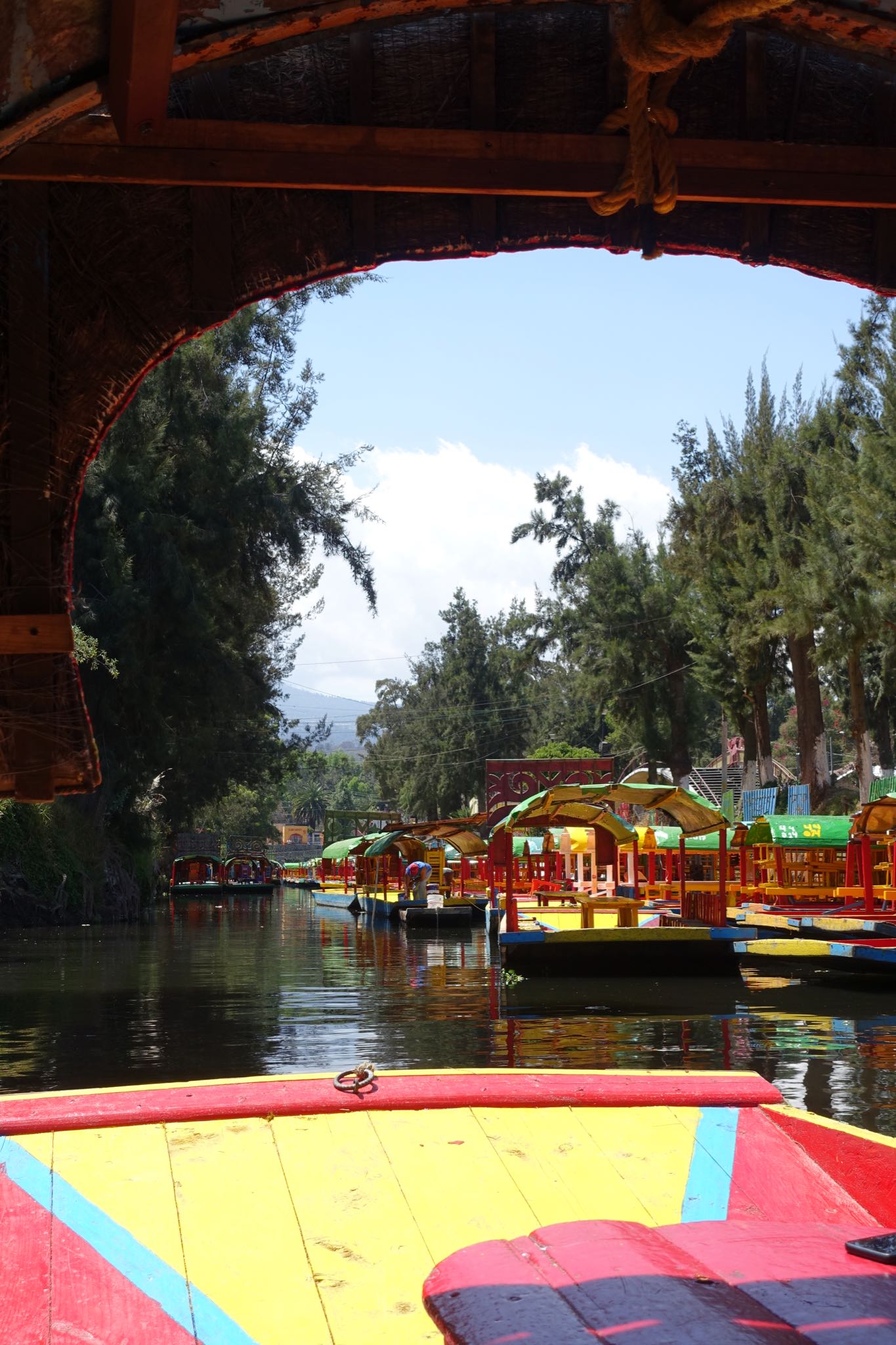 Photo 155 of 362 from the album Highlights Mexico 2019.