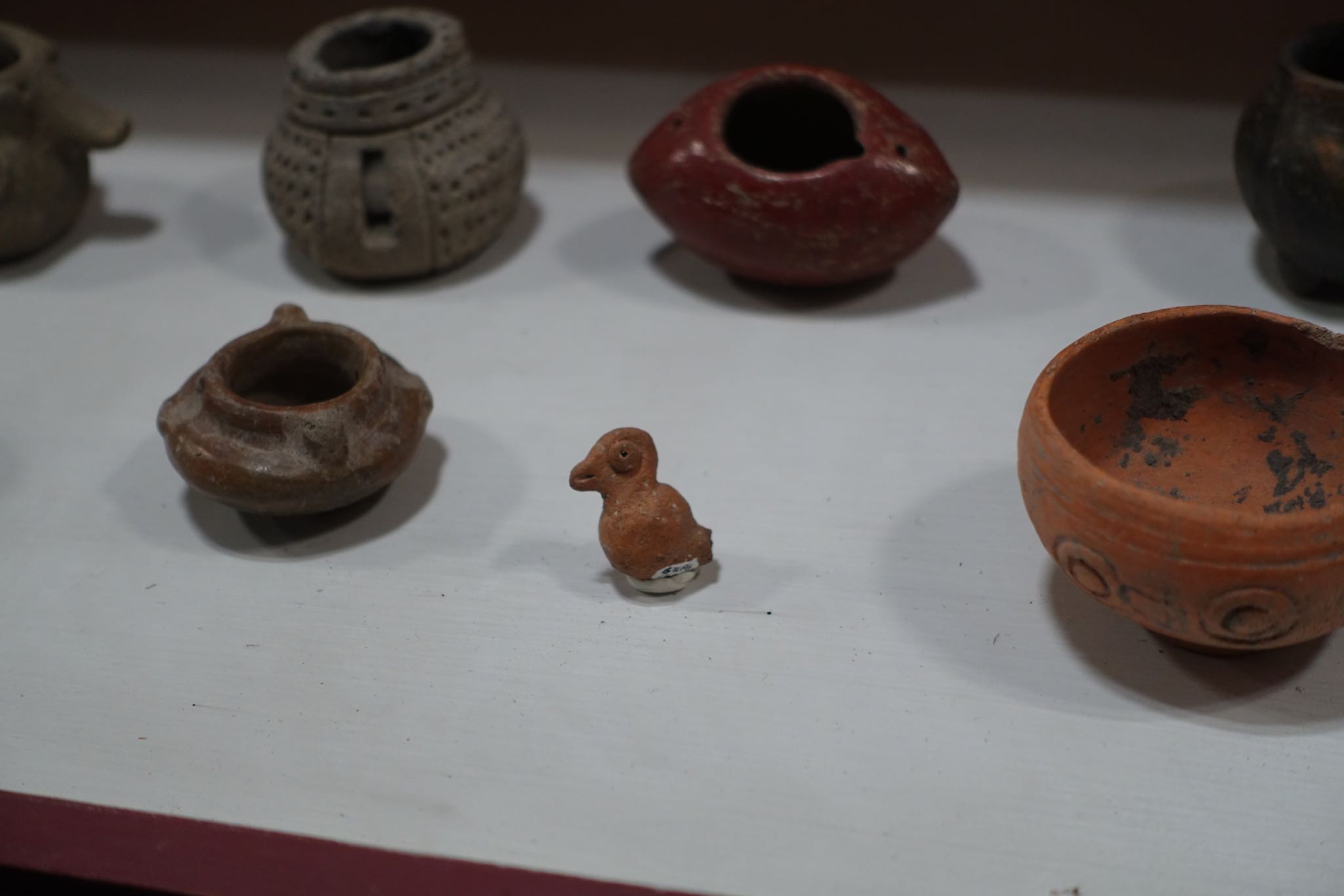 Photo 159 of 362 from the album Highlights Mexico 2019.