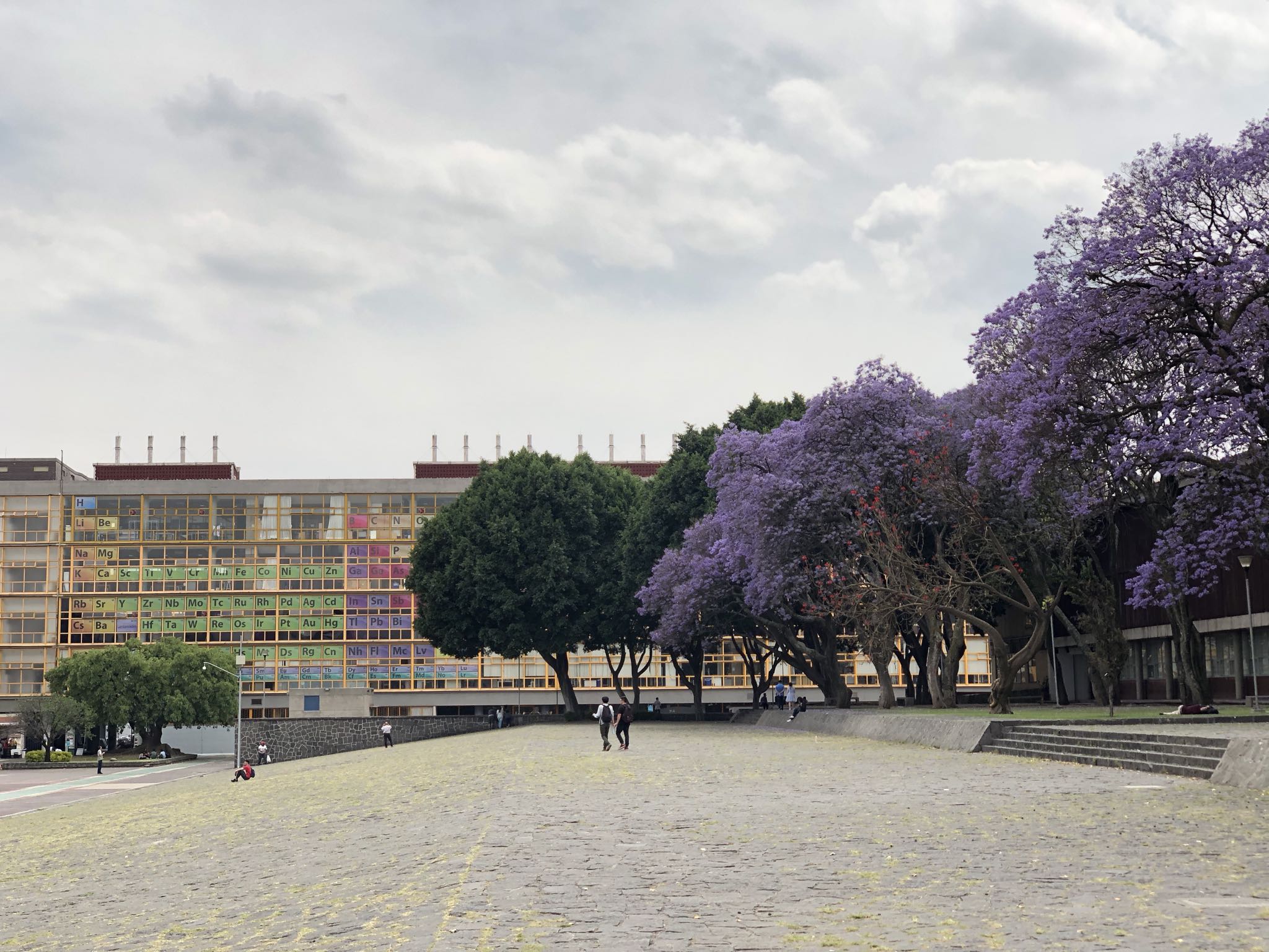 Photo 17 of 362 from the album Highlights Mexico 2019.