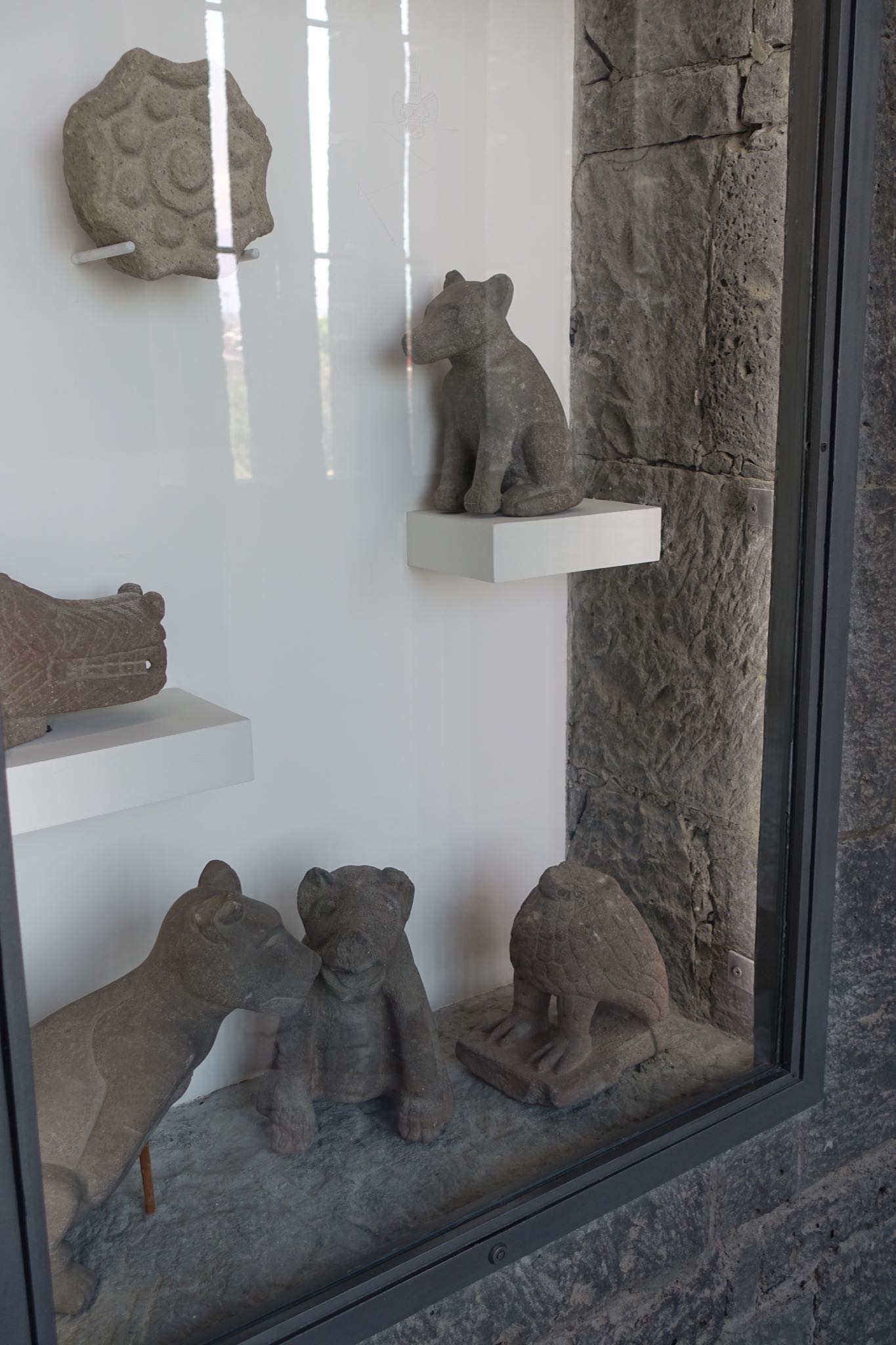 Photo 174 of 362 from the album Highlights Mexico 2019.