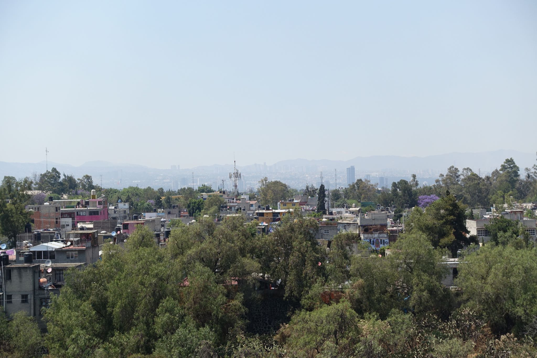 Photo 178 of 362 from the album Highlights Mexico 2019.