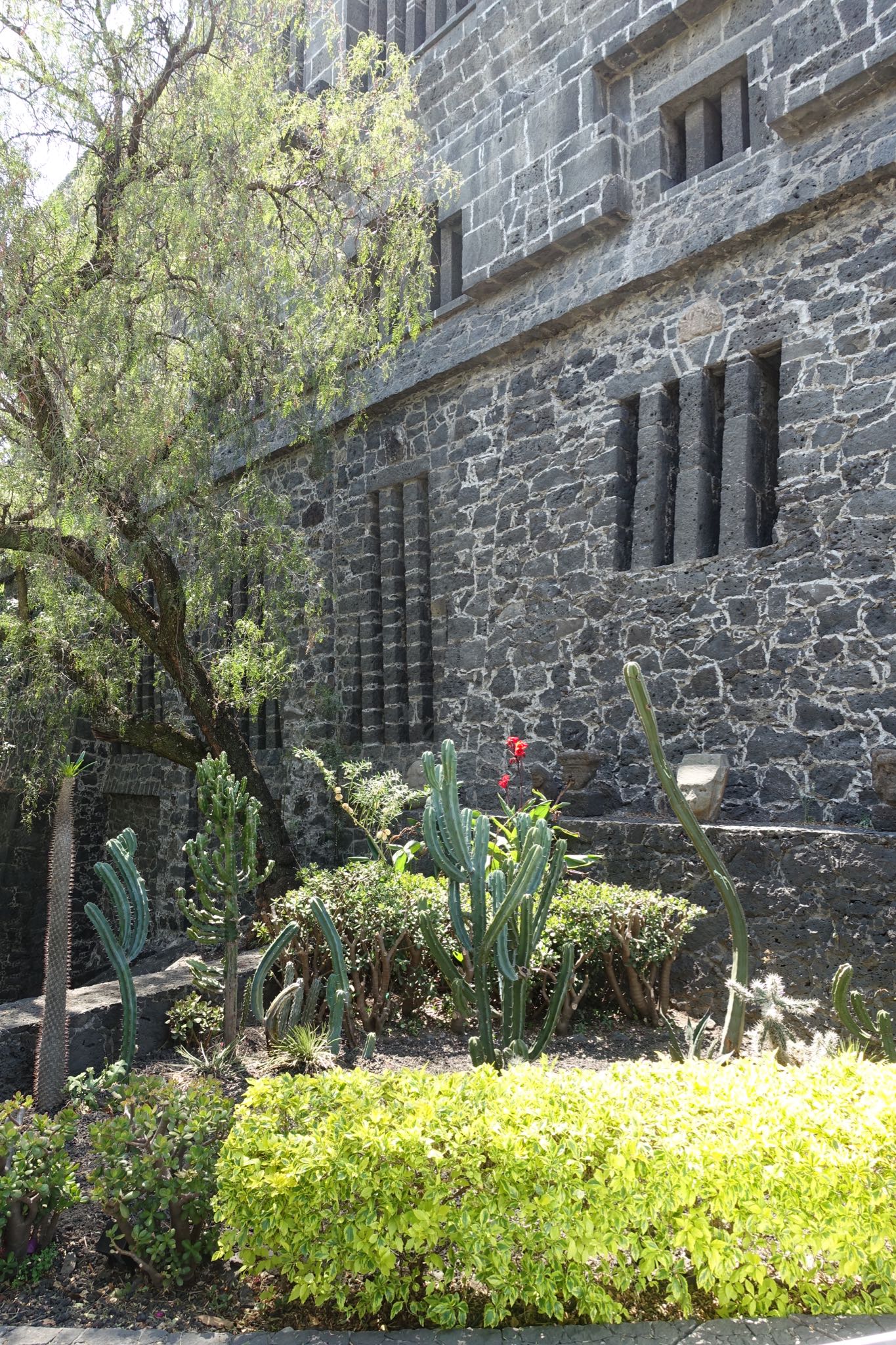 Photo 180 of 362 from the album Highlights Mexico 2019.