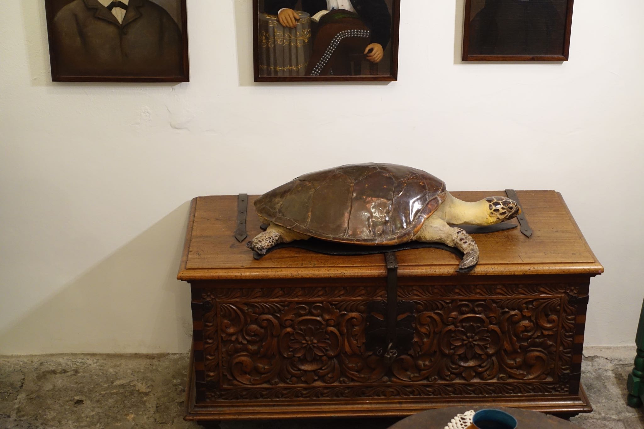 Photo 189 of 362 from the album Highlights Mexico 2019.