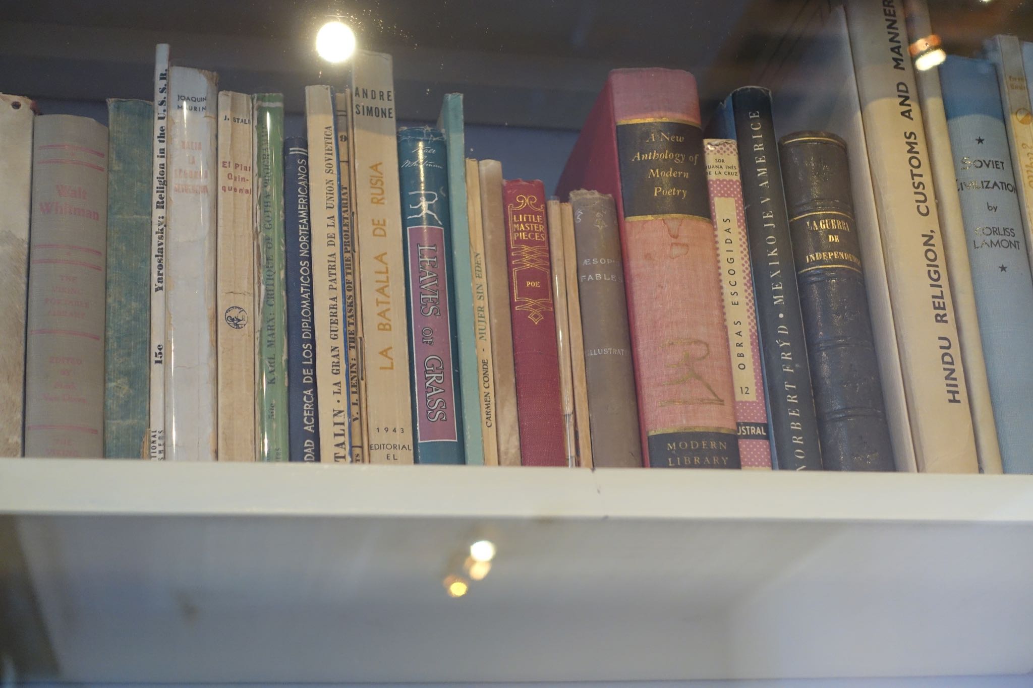 Photo 194 of 362 from the album Highlights Mexico 2019.