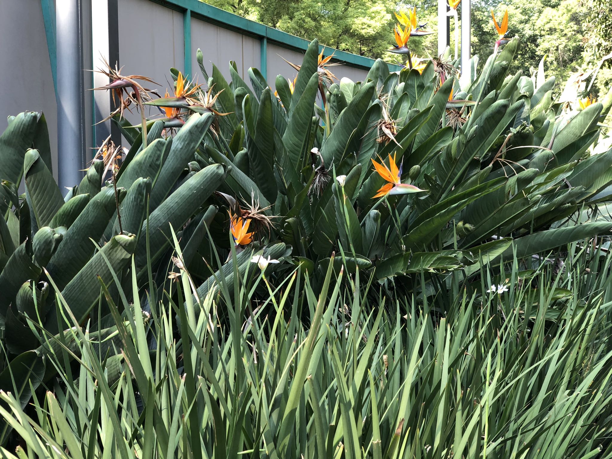 Photo 198 of 362 from the album Highlights Mexico 2019.