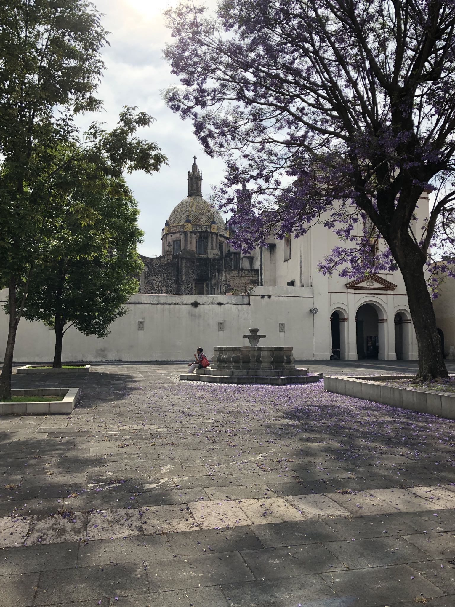 Photo 2 of 362 from the album Highlights Mexico 2019.